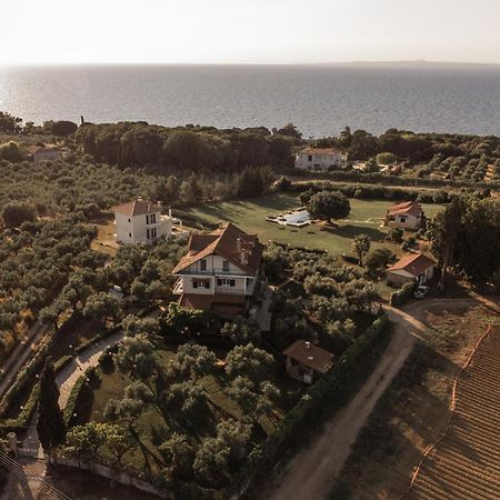 Villa Georgina B&B Katakolo Dış mekan fotoğraf