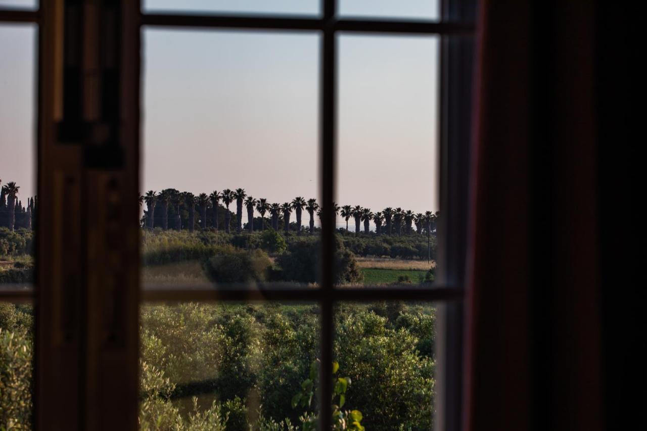 Villa Georgina B&B Katakolo Dış mekan fotoğraf