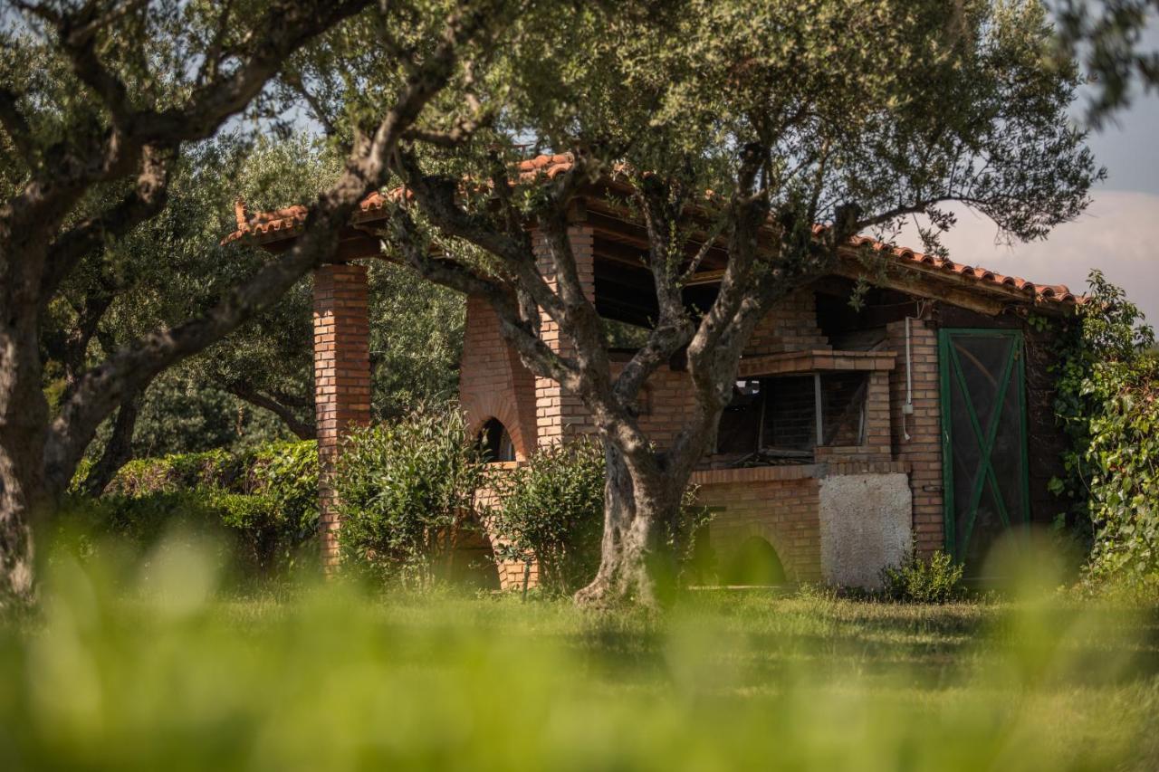 Villa Georgina B&B Katakolo Dış mekan fotoğraf