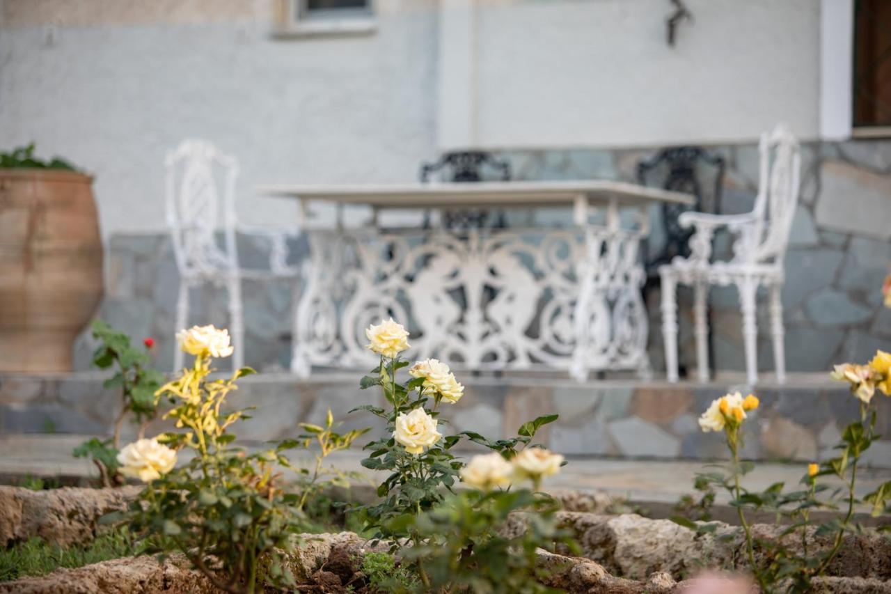 Villa Georgina B&B Katakolo Dış mekan fotoğraf