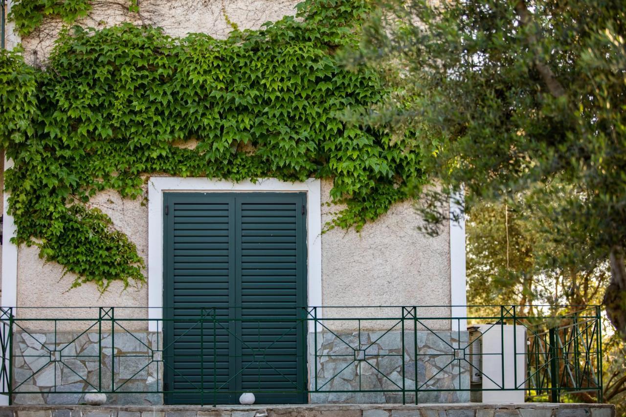 Villa Georgina B&B Katakolo Dış mekan fotoğraf