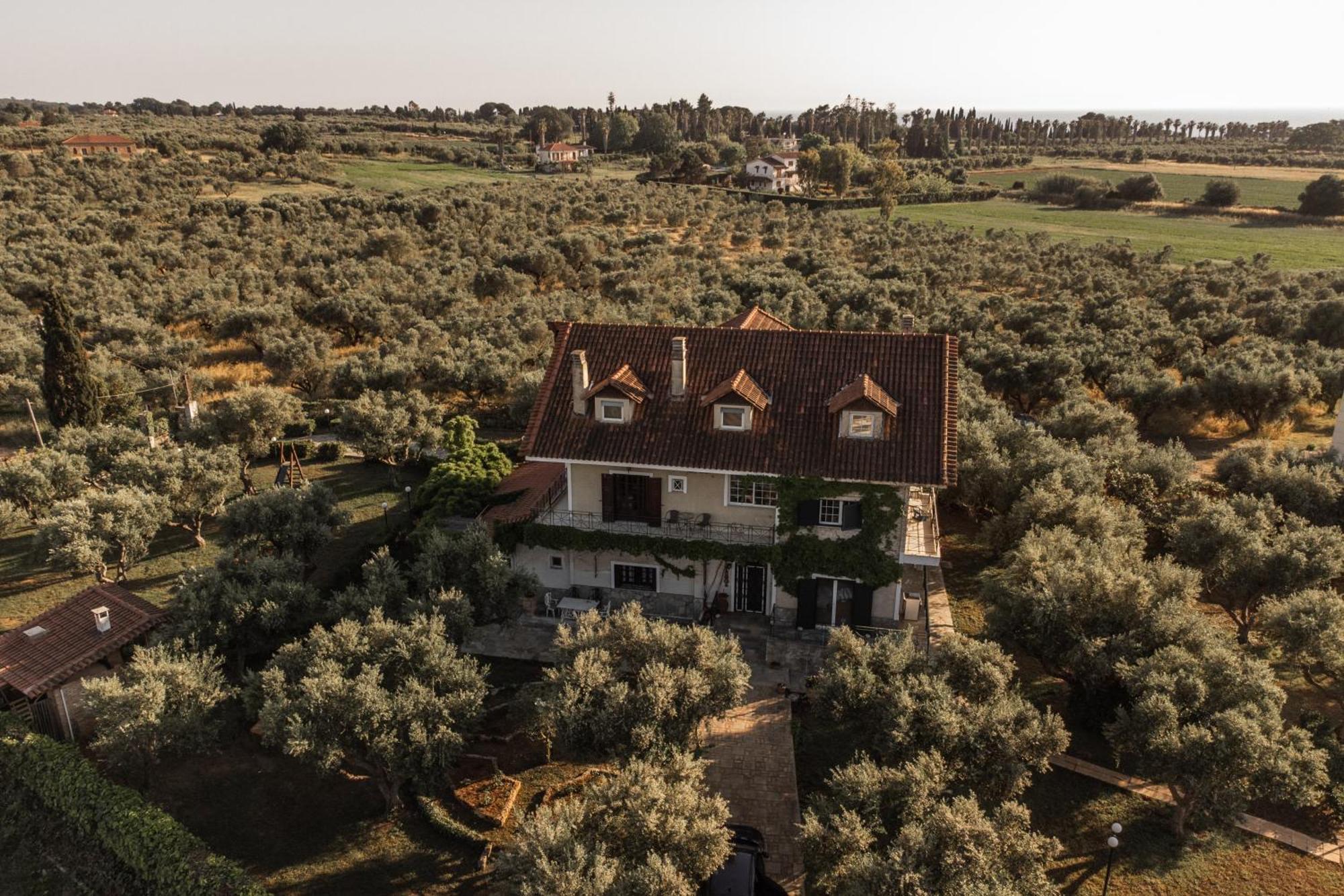 Villa Georgina B&B Katakolo Dış mekan fotoğraf